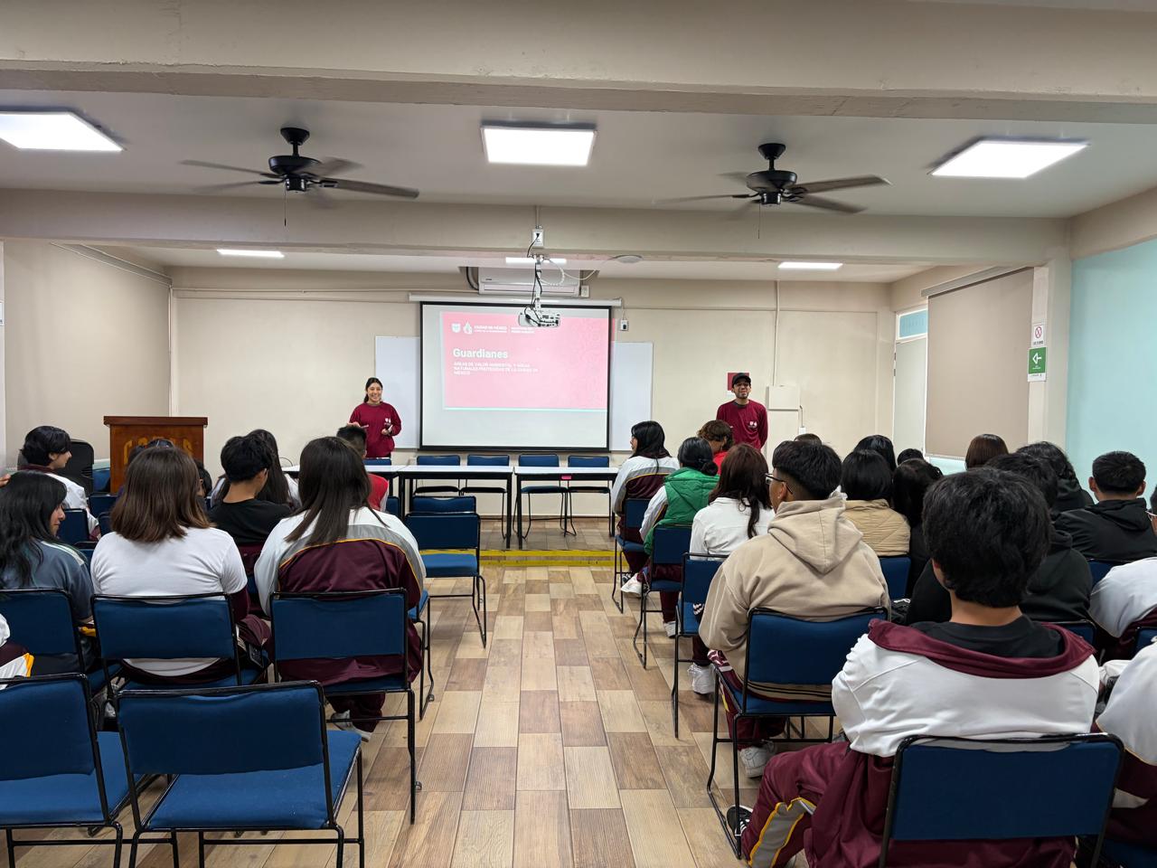 Taller ambiental 10