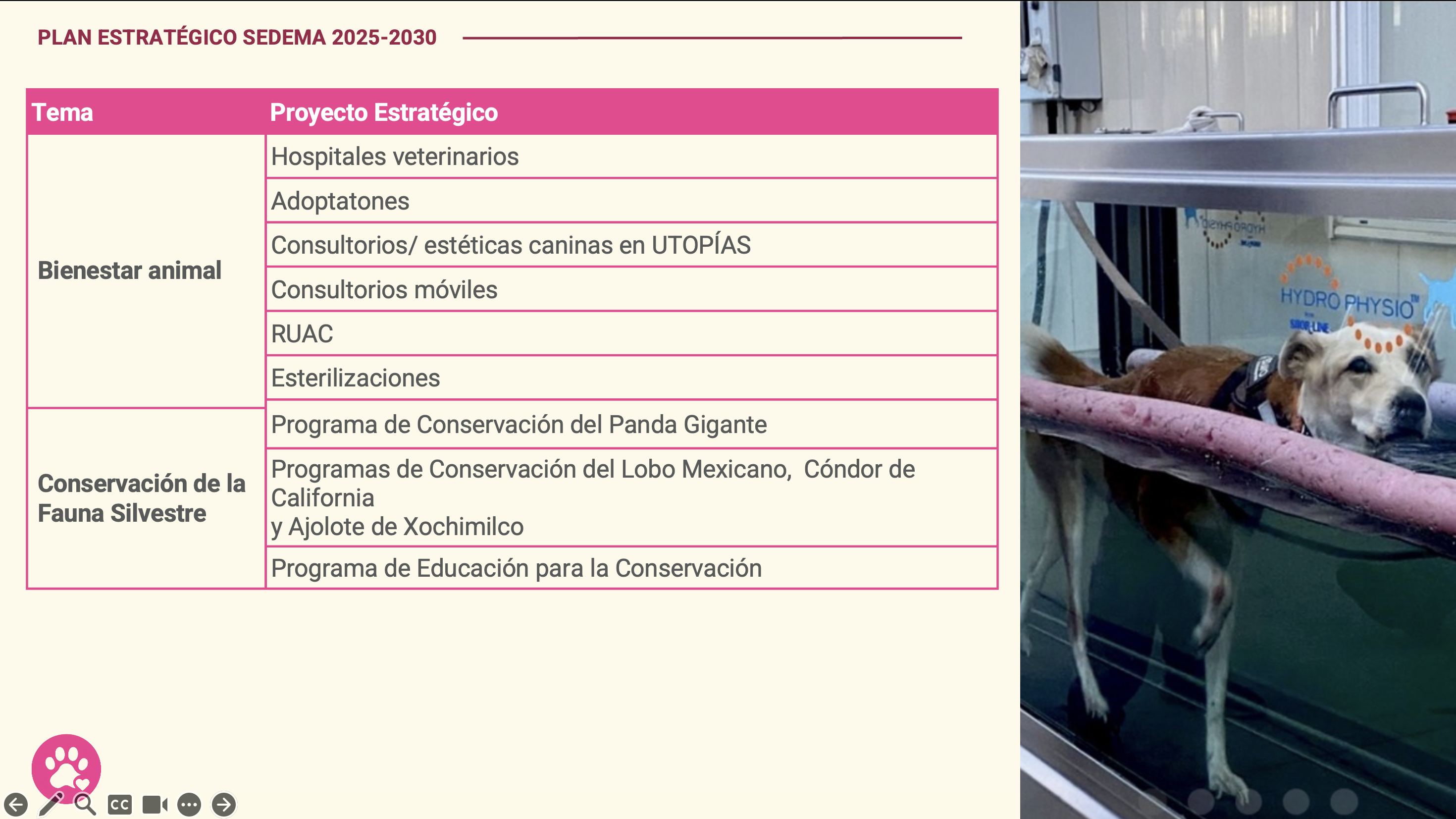 Esquema del eje 4: Bienestar Animal y Protección de los Seres Vivos