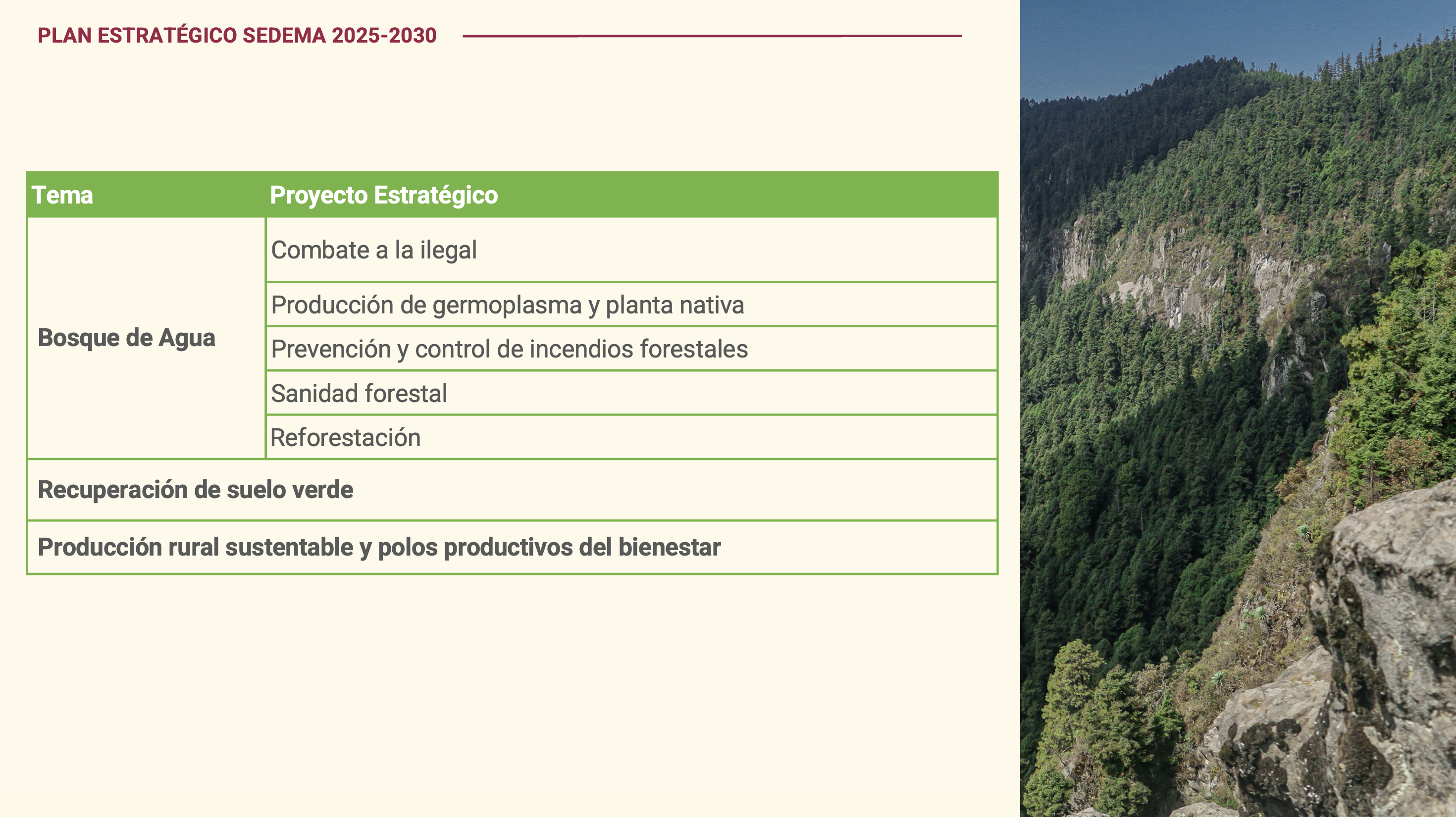 Esquema del eje 9: Suelo de Conservación y Bosque de Agua