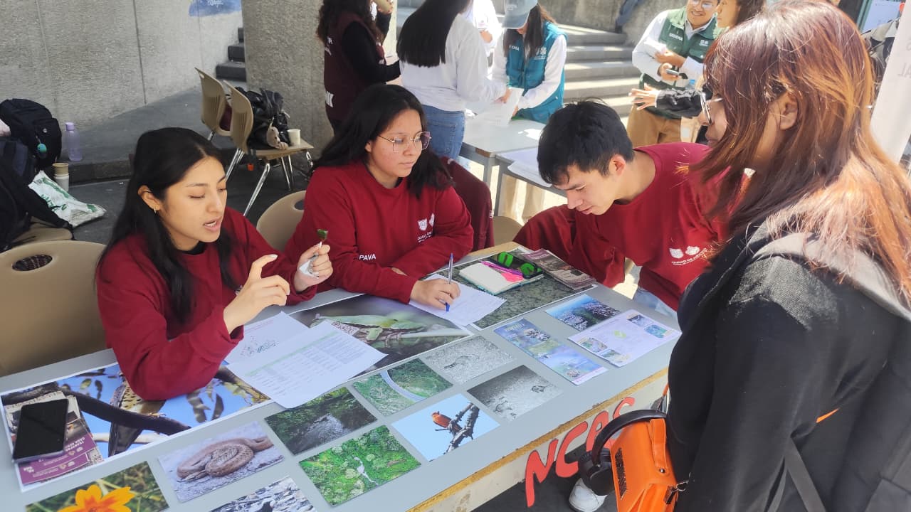 Taller ambiental 10
