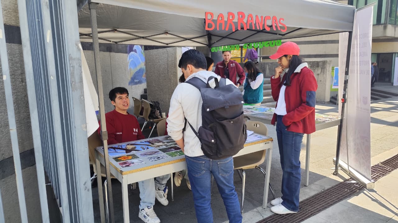 Taller ambiental 12